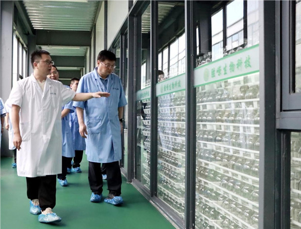 贝博在线体育app官网